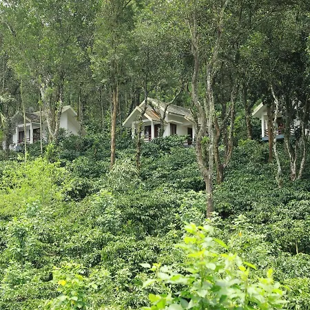 Dhanagiri Homestay Wayanad Vythiri Exterior photo