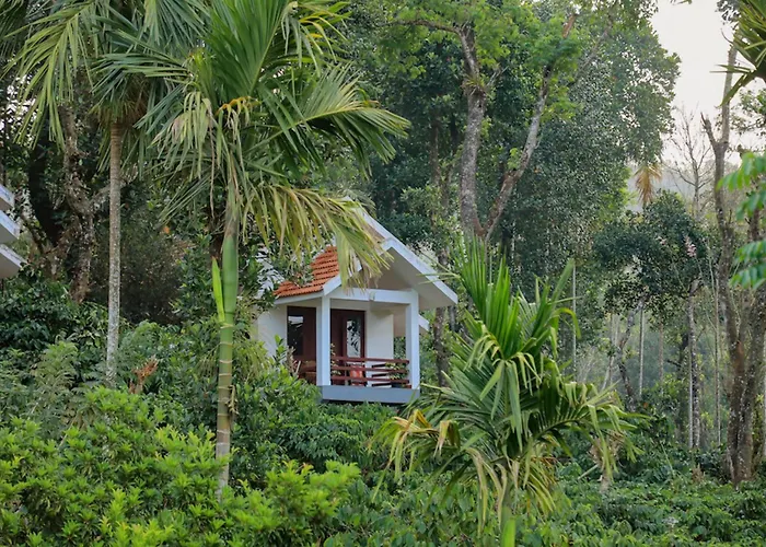 Dhanagiri Homestay Wayanad