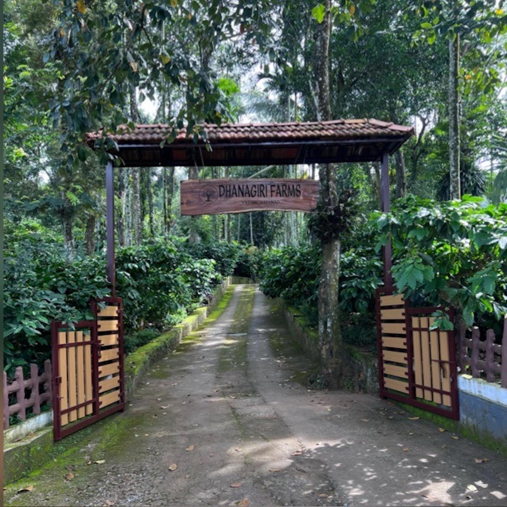 Homestay Dhanagiri Wayanad