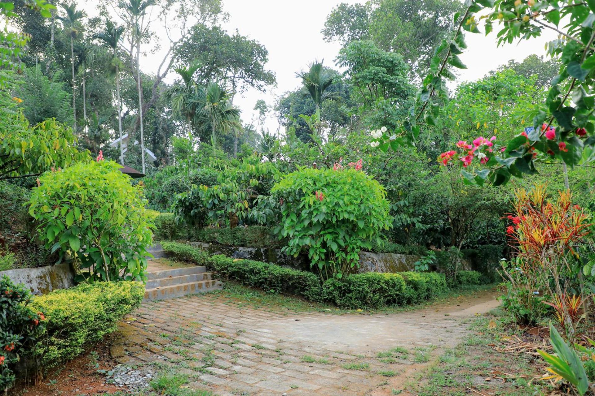 Homestay Dhanagiri Wayanad
