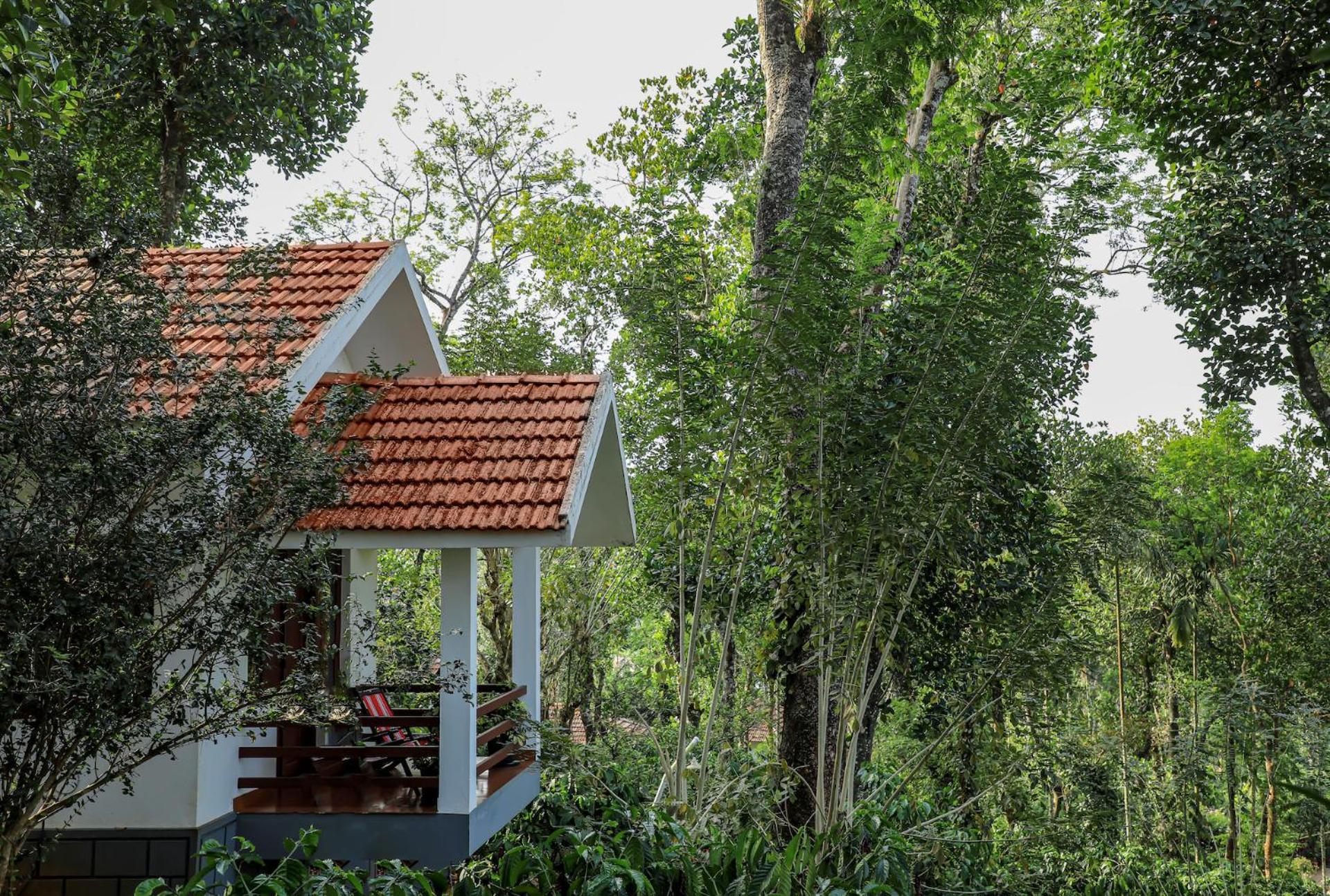 Dhanagiri Wayanad Homestay