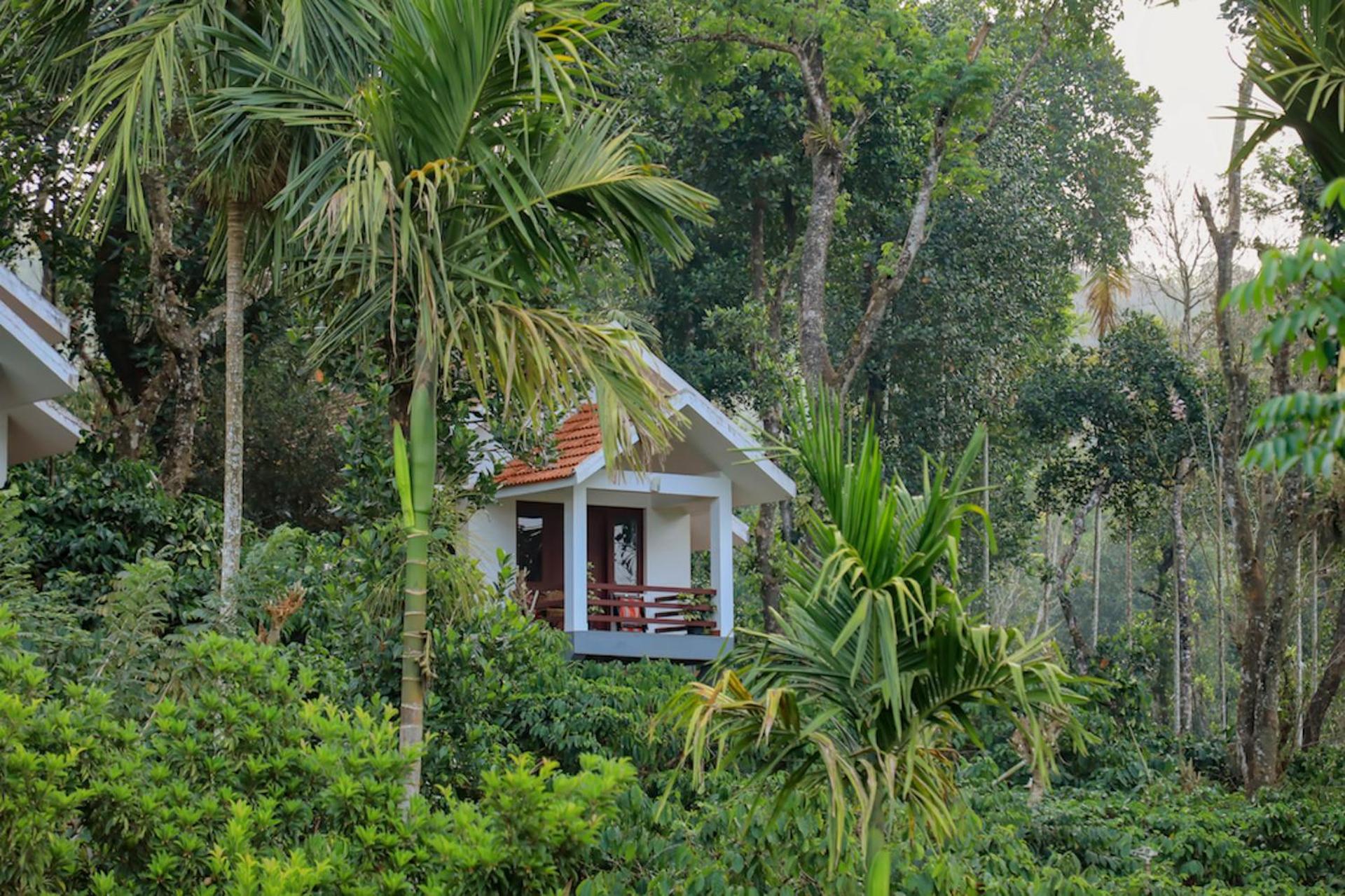 Homestay Dhanagiri Wayanad