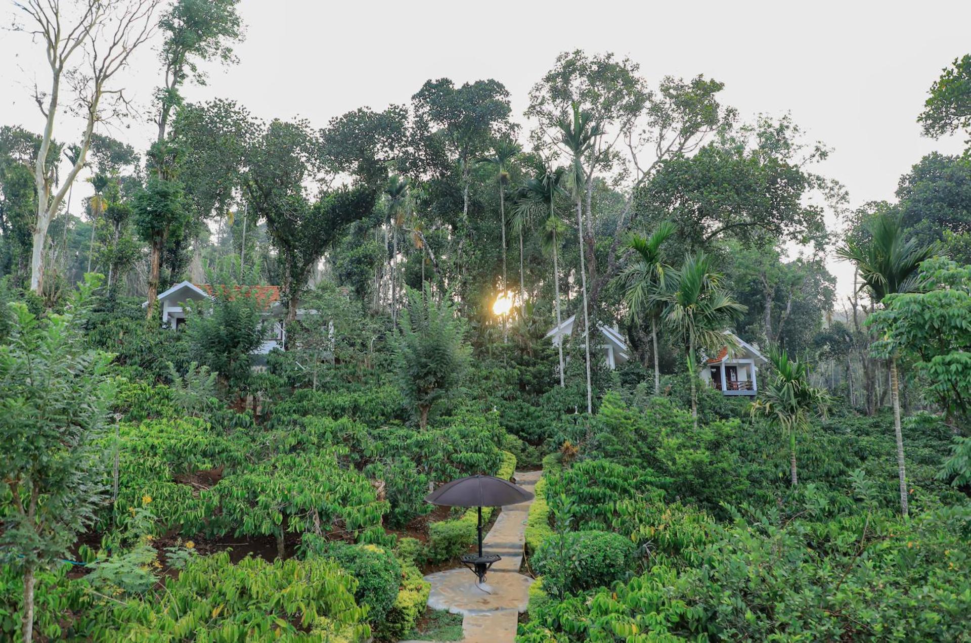 Dhanagiri Wayanad Vythiri