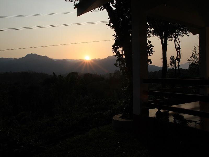 Dhanagiri Wayanad Homestay *