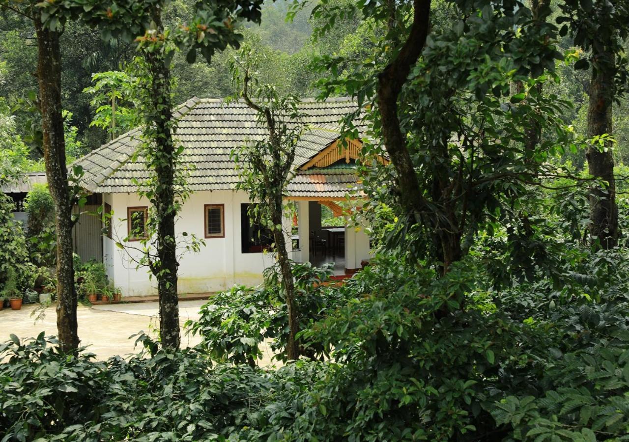 Dhanagiri Wayanad