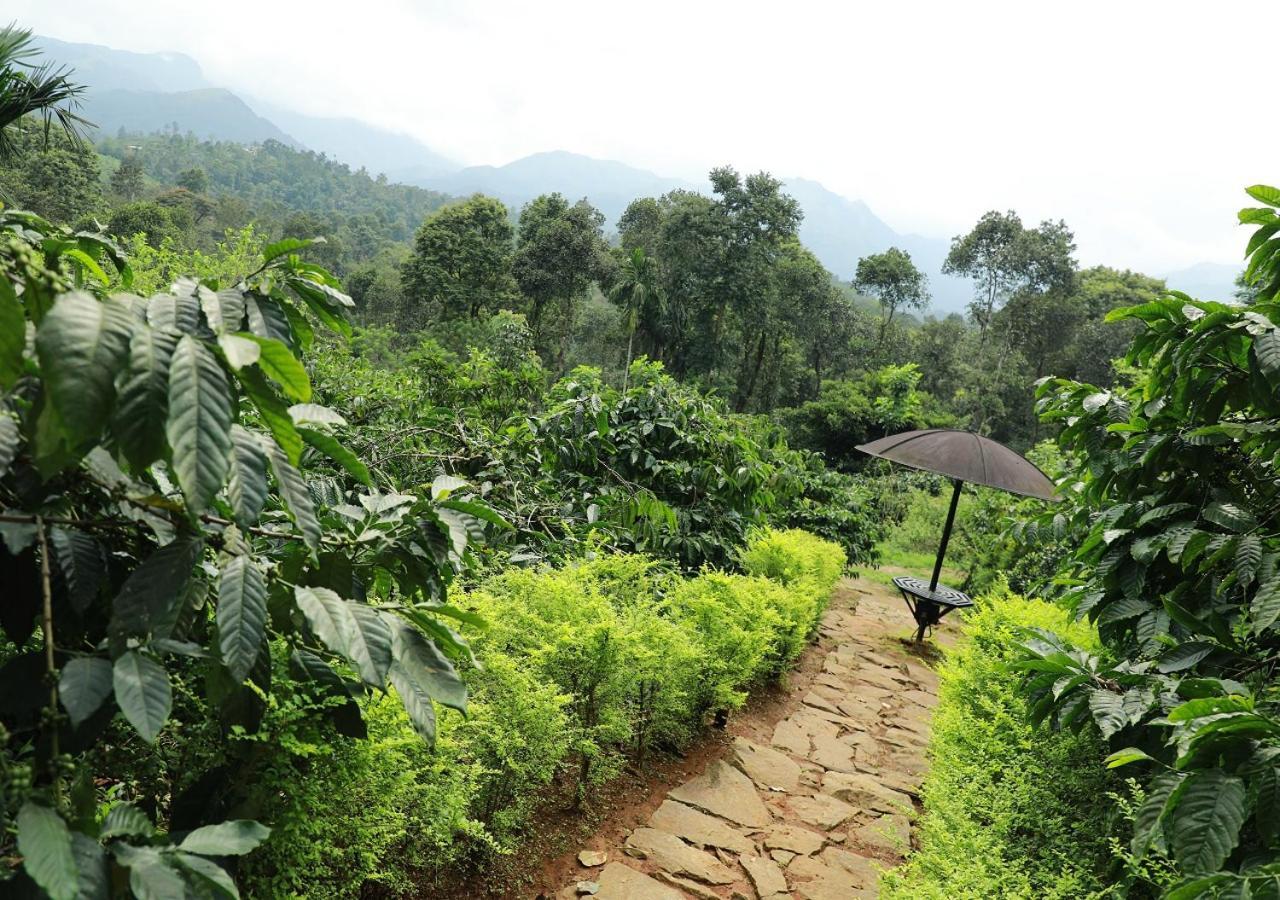 Dhanagiri Wayanad *