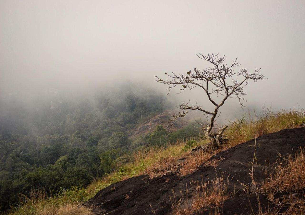 Dhanagiri Wayanad Vythiri