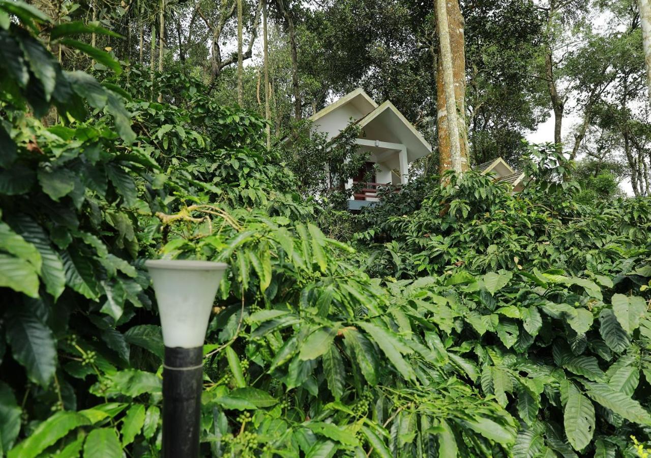 Homestay Dhanagiri Wayanad Vythiri