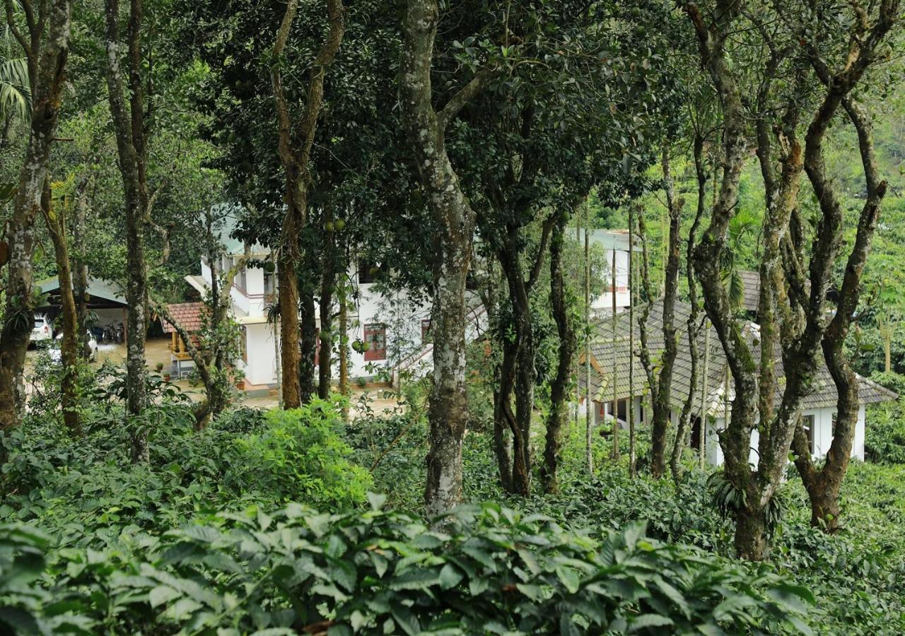 Homestay Dhanagiri Wayanad