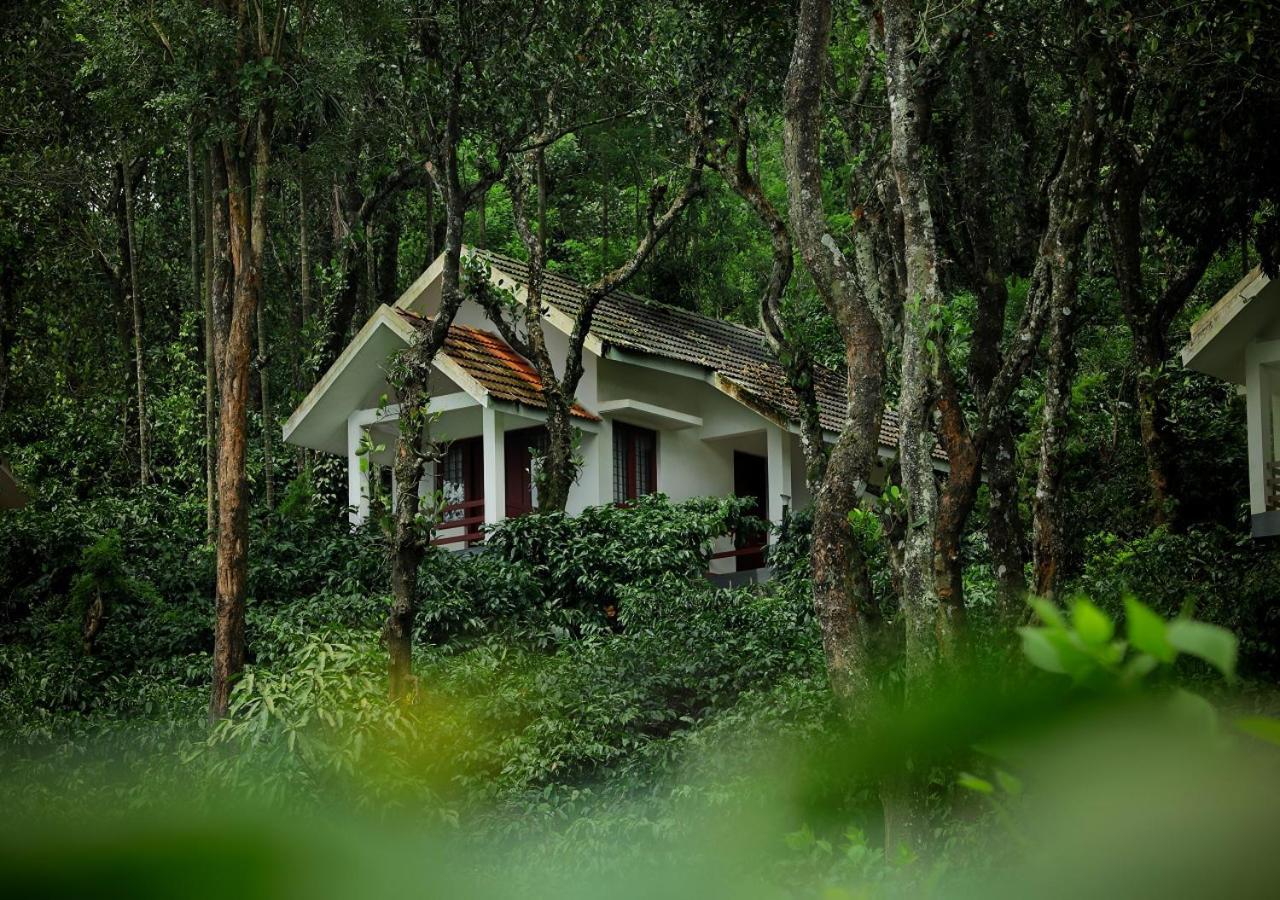 Dhanagiri Wayanad Homestay